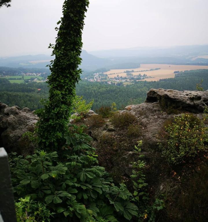 Bergwirtschaft Papststein